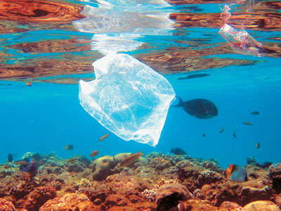 Οκτώ τόνοι πλαστικά απόβλητα κάθε χρόνο στους ωκεανούς